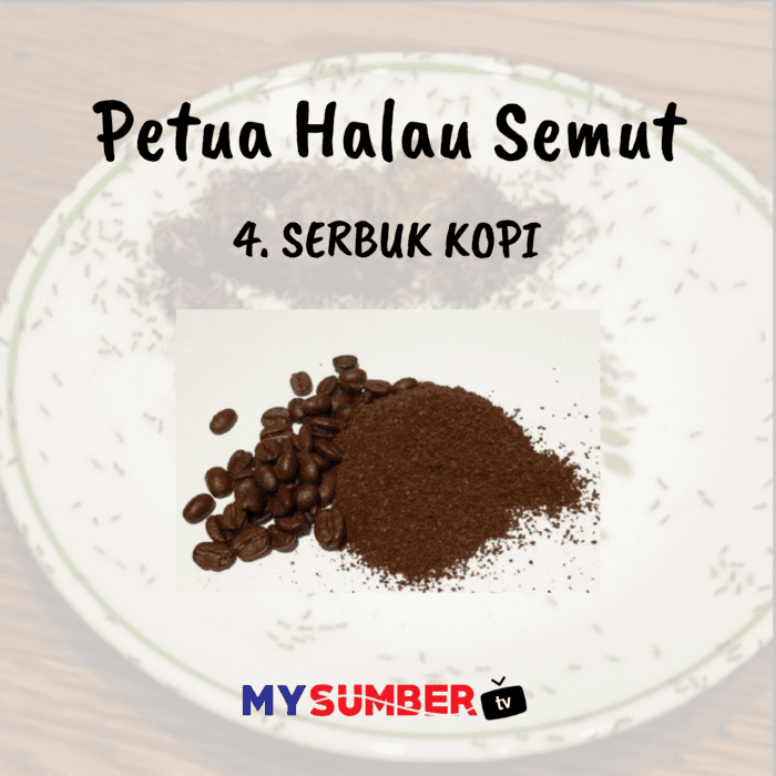 Halau semut